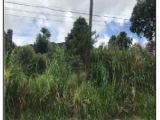 Imagem do imóvel TE65312